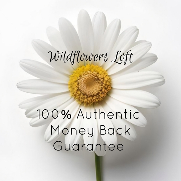 COACH Legacy Perforated Leather Courtenay Hobo Bag, Peach,Women's OS - Picture 13 of 13